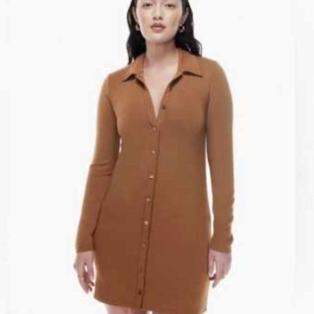 Wilfred | Aritzia | Pose Longsleeve Button Front Dress Drapey Casual Minimalist